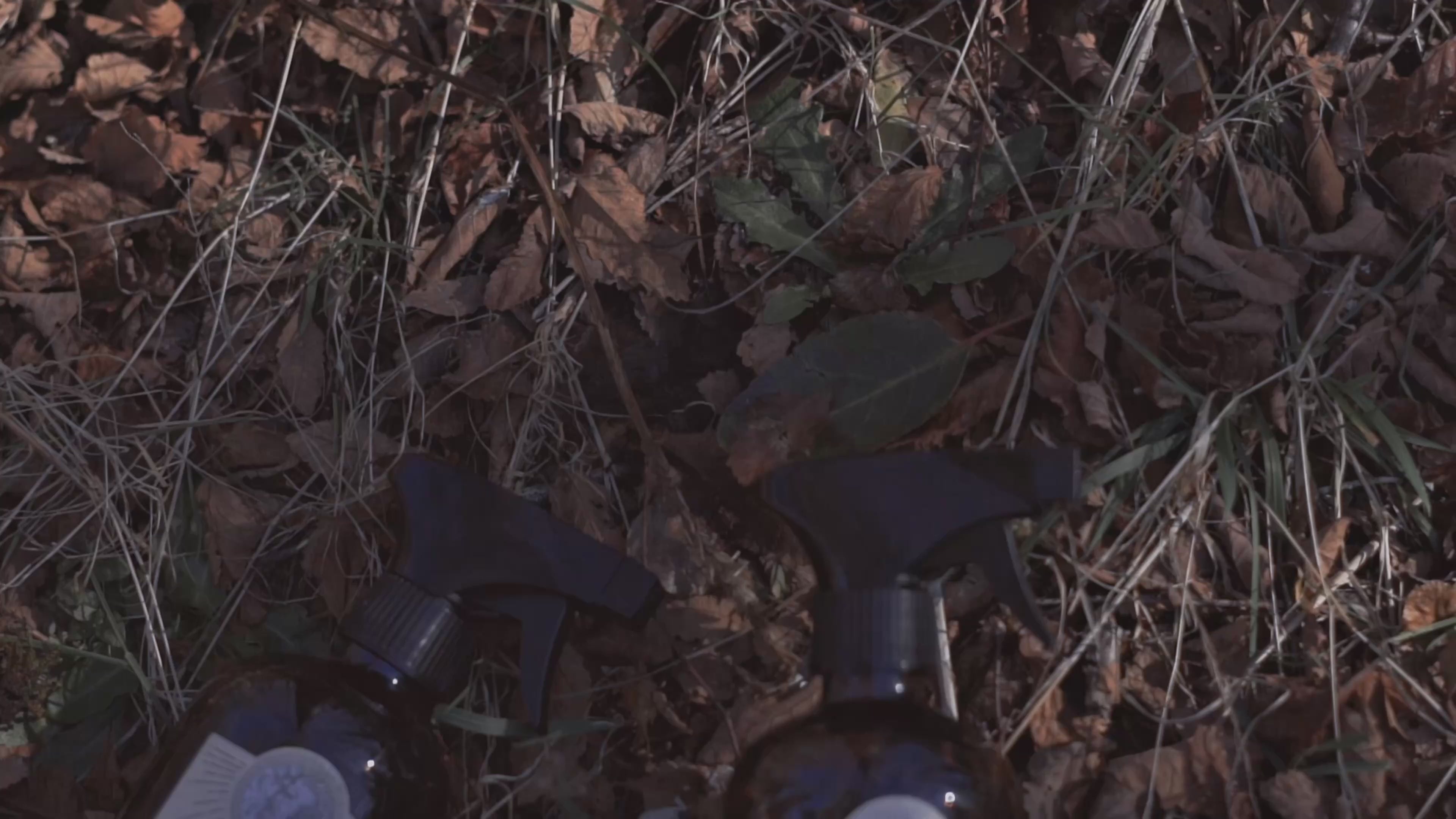 Cargar video: 
